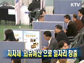 지자체 '외유예산' 으로 일자리 창출