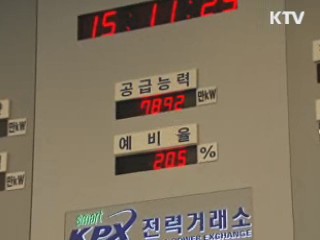 "전기요금 서민·중소기업 인상폭 최소화"