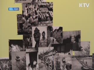 광주시립미술관, '강봉규-나무와 사람전' [캠퍼스 리포트]