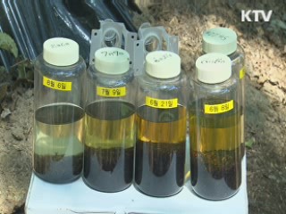 부처 협업으로 '참나무시들음병' 방지