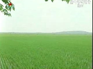 北, 총경작지 2% 피해