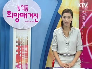 한식, 문화예술과 만나 세계로