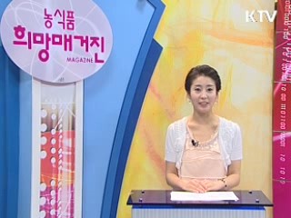 농식품부, 외국인 농어촌 관광체험단 운영