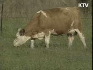 캐나다산 쇠고기 수입위생조건안 합의