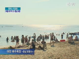 '보령 머드축제' 14일부터 시작 [캠퍼스 리포트]