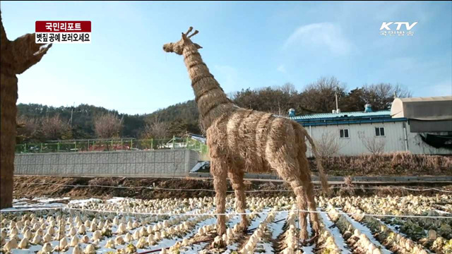 "승상골 볏짚예술제, 마을 활력소" [국민리포트]