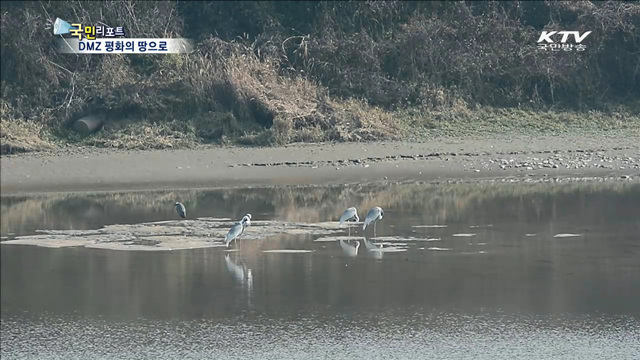 철새들의 낙원 DMZ…생태 공동조사 원년 기대