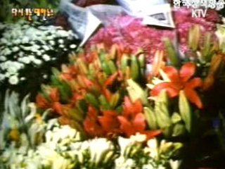 봄소식(`84)