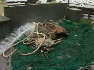 육상기인 해양오염원 관리전략 발표