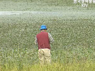 환경부, 비무장지대 전역 첫 생태계 조사