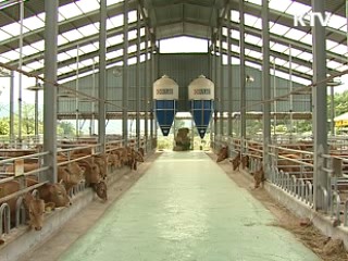 전국 시·군별 140개 '한우사업단' 육성
