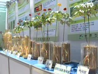 토종약초 산업화, 농가수익 '쑥쑥'