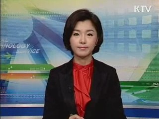 경인년 새해 밝았다