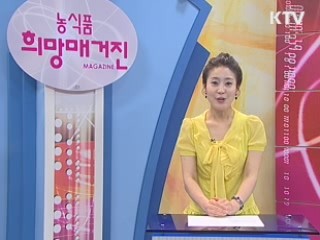 아세안 국가 AI 가축방역기술 연수