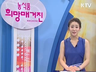 농어촌 여름휴가 페스티벌