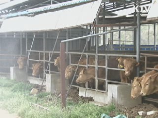 능동적 가축 방역···질병 검색률 향상