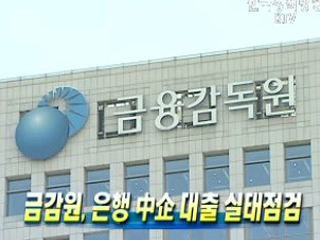 금감원, 은행 中企대출 실태점검