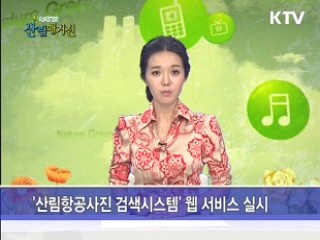 '산림항공사진 검색시스템' 웹 서비스 실시