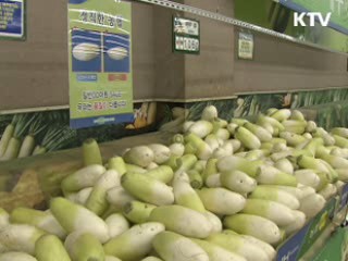 수출·소비 등 지방경기 전반적 회복세