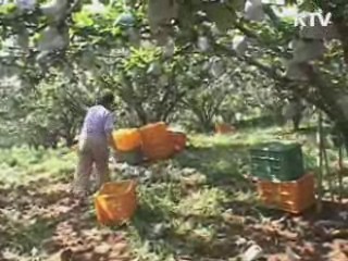 내년 농업경영회생자금 600억원 지원