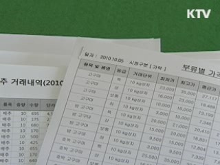 '배추 가격안정 명령제' 내년 도입 추진