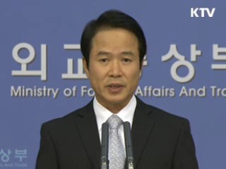 위안부 문제 국제무대 이슈화 검토