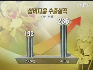 국산 난 '심비디움' 중국 대륙 사로잡다