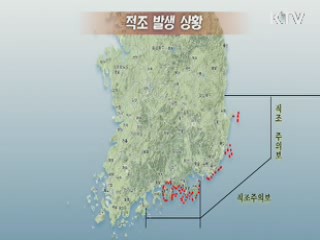 KTV 10 (40회)