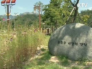 문화가 숨쉬는 도심의 골목길 [현장 포커스]