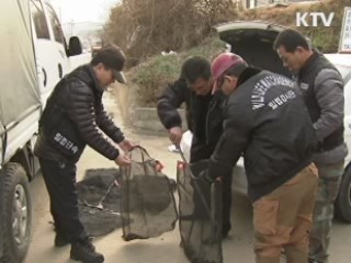 대전시, 겨울철 야생동물 밀렵 특별단속