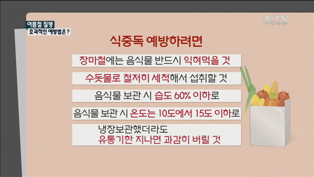 여름철 질병…효과적인 예방법은? [정책Q]