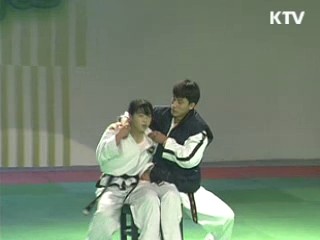 한글·태권도를 명품 브랜드로