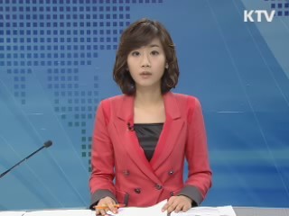 정책 포커스 (313회)