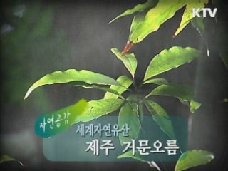 녹색 생활 실천 메카, 제주