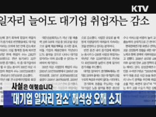 '대기업 일자리 감소' 해석상 오해 소지