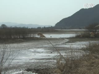 습지 곳곳 생명이 살아 숨쉬는 금강