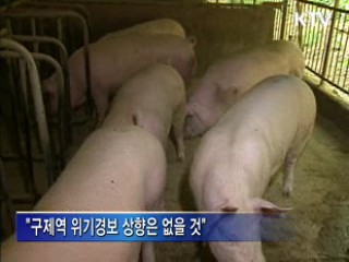 영천 구제역 재발…긴급 방역 조치