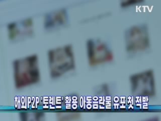 해외P2P '토렌트' 활용 아동음란물 유포 첫 적발