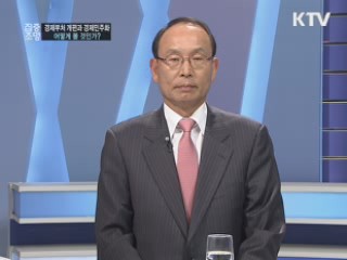 경제부처 개편과 경제민주화, 어떻게 볼 것인가?