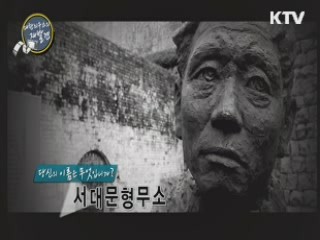 대한늬우스의 재발견 2