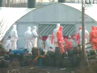 성탄 연휴에도 AI 방역활동 총력