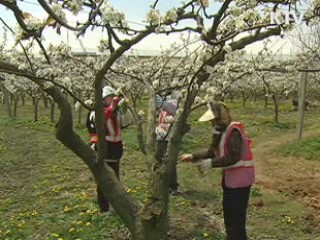 내년 중 여성 '시간제 일자리' 확대