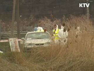 안동서 구제역 발생…긴급방역 착수