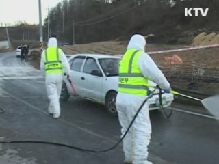 구제역 백신 접종 대상 전국 확대