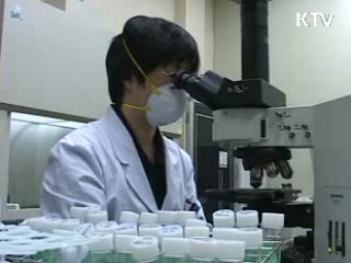 인플루엔자A 백신, 6개월내 650만명분 생산 가능