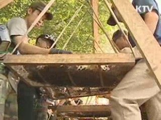 국방부, 6·25 전사자 5년내 1만구 발굴