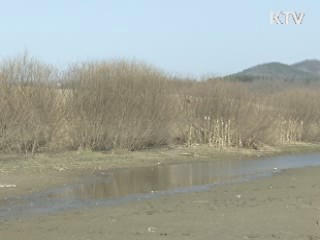 "한국 4대강 살리기, 물 문제 해소 기대"