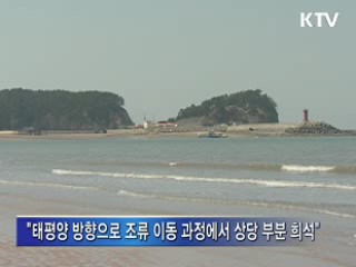 "방사성 물질, 해수 직접 유입 가능성 적어"