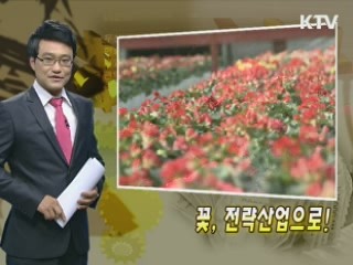 꽃, 전략산업으로!