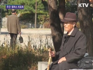 실버세대를 위한 '100일 영화제' 인기